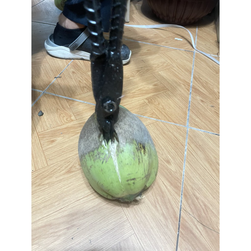 คีมปอกมะพร้าว เหล็กปอกมะพร้าม ครีมปอกมะพร้าว 23 นิ้ว ที่ปอกมะพร้าว - รูปที่ 5