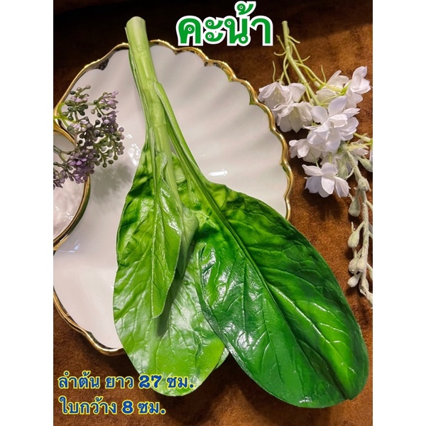 ผักปลอม ผักคะน้าปลอม (วัสดุผลิตจากยางล้างน้ำทำความสะอาดได้)