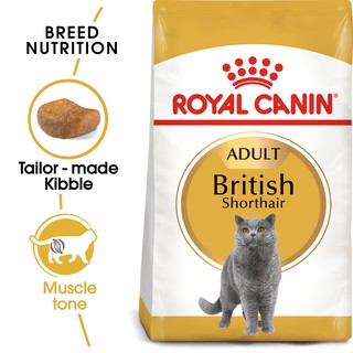 Royal Canin 4kg. British Shorthair อาหารแมว รอยัลคานิน แมวบริติช ชอร์ทแฮร์