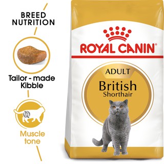 Royal Canin 10kg. British Shorthair อาหารแมว รอยัลคานิน แมวบริติช ชอร์ทแฮร์