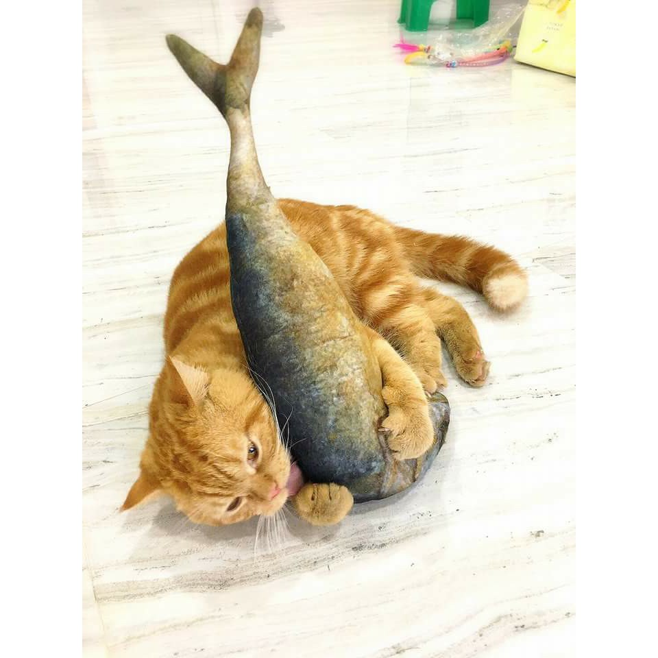 ตุ๊กตาปลาทูกัญชาแมว - ตุ๊กตาปลาทูกัญชาแมว&หมอนปลาทู น่ารักๆ