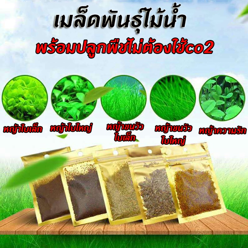 พร้อมส่งเมล็ดพันธ์ุไม้น้ำ ต้นไม้ปลูกในน้ำ พร้อมปลูกพืชไม่ต้องใช้co2 มี4ชนิด 5กรัม/ซอง

<p>“><center></p>
<h4></h4>
<p><p><font color=