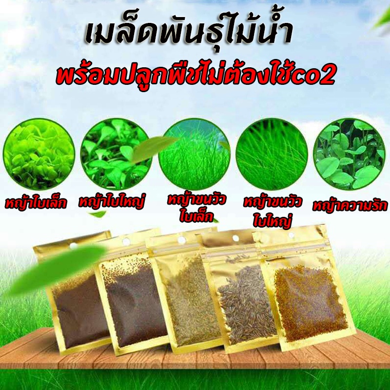 พร้อมส่ง💥เมล็ดพันธ์ุไม้น้ำ ต้นไม้ปลูกในน้ำ พร้อมปลูกพืชไม่ต้องใช้co2 มี4ชนิด 5กรัม/ซอง