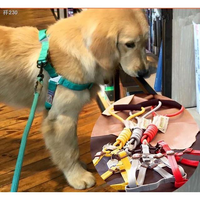 ปลอกคอสุนัข ☞ [ลิขสิทธิ์แท้] TOUCHDOG สายรัดอก เชือกจูง สายจูง สุนัข ...
