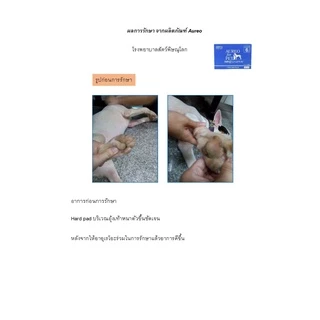 อาอูเรโอะอาหารเสริมกระตุ้นภูมิ Aureo for pet 30 ซอง