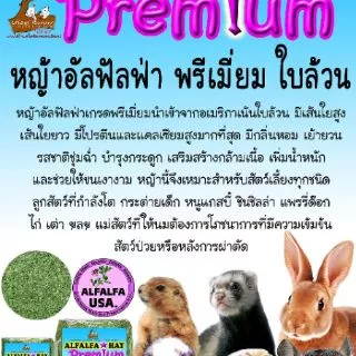 หญ้าอัลฟาฟ่าใบล้วน 1 กิโลกรัม หญ้ากระต่าย หนูแกสบี้ แฮมเสตอร์ เฟอร์เรท ชินชิล่า แพรี่ด๊อก เต่า