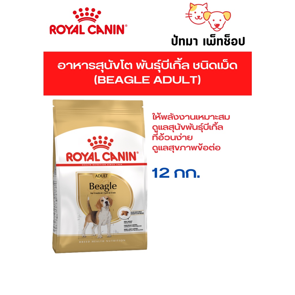 ( 12 กก. ) Royal Canin / Beagle Adult อาหารเม็ด สำหรับสุนัขโต พันธุ์บีเกิ้ล