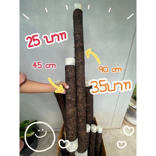 เสาไม้เลื้อยตาข่ายพลาสติกหุ้มมะพร้าวสับ สินค้าเป็น DIY 45 cm