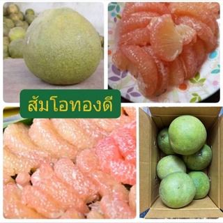 🍊พร้อมส่งมาก!! ส้มโอทองดีหวานๆจร้า หวานอมเปรี้ยวอร่อยฟินจัดจนร้อง