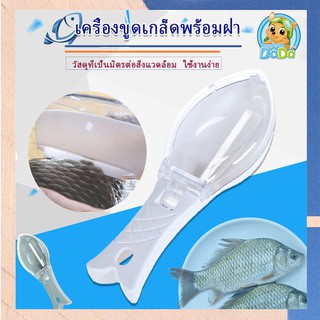 ที่ขอดเกล็ดปลา อุปกรณ์ขอดเกล็ดปลา Fish Scale Peeler COD