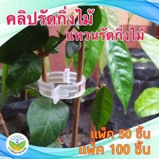 คลิปรัดกิ่งไม้ แหวนรัดกิ่งไม้ Plant support clip แหวนรัดกิ่งพืชผักสวนครัว