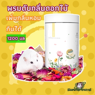 【hamstertravel】สัตว์เลี้ยงพืชเสื่อวัสดุดับกลิ่นแฮมสเตอร์แผ่นทองหมีรังวัสดุฉากกินขี้เลื่อยดอกไม้แห้งในฤดูร้อนH