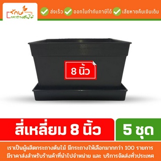 กระถางแคคตัส กระถางต้นไม้ กระถางกระบองเพชร สีดำ 8 นิ้ว สี่เหลี่ยม กระบองเพชร 5 ชุด ใบ