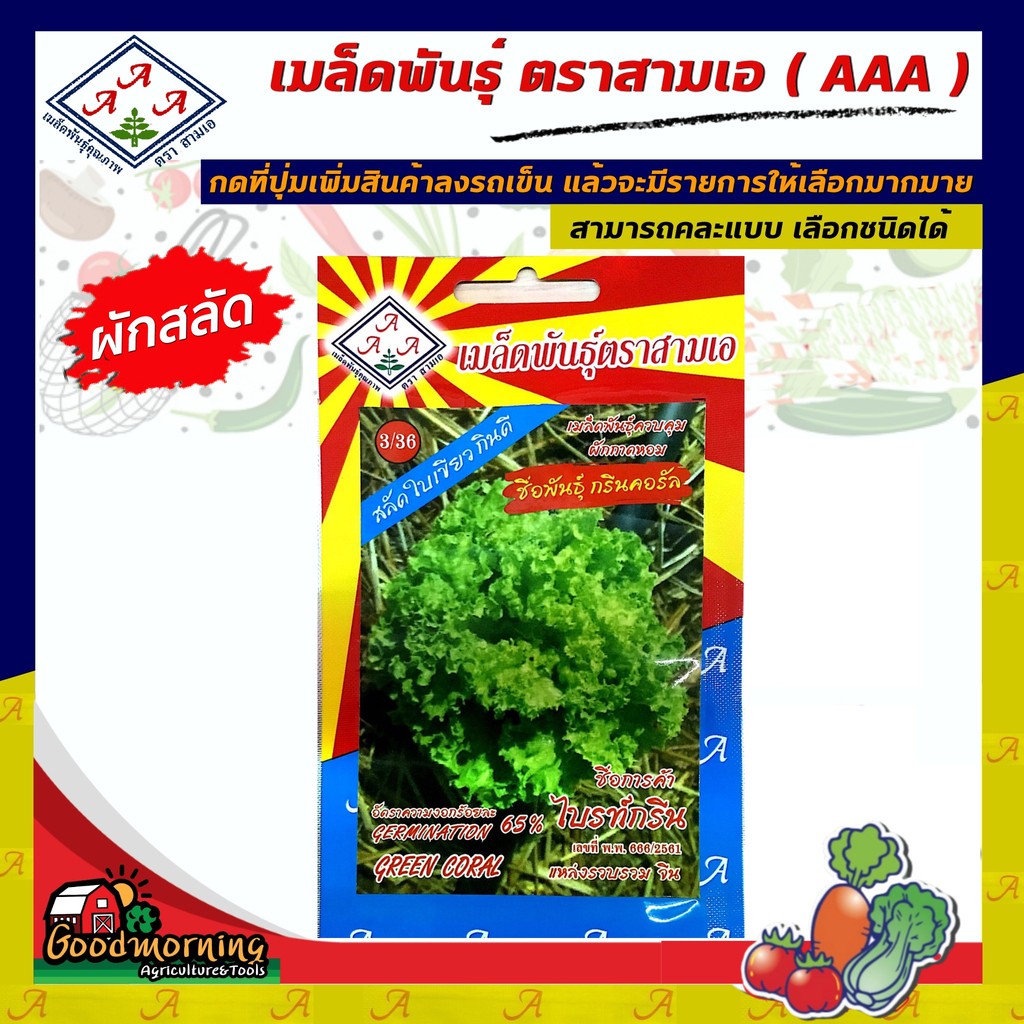 AAA 🇹🇭 ผักซอง  A3/36# ผักสลัดกรีนคอรัล ตรา AAA ผักซอง เมล็ดพันธุ์ผัก 3เอ ผักสวนครัว เมล็ดพันธุ์