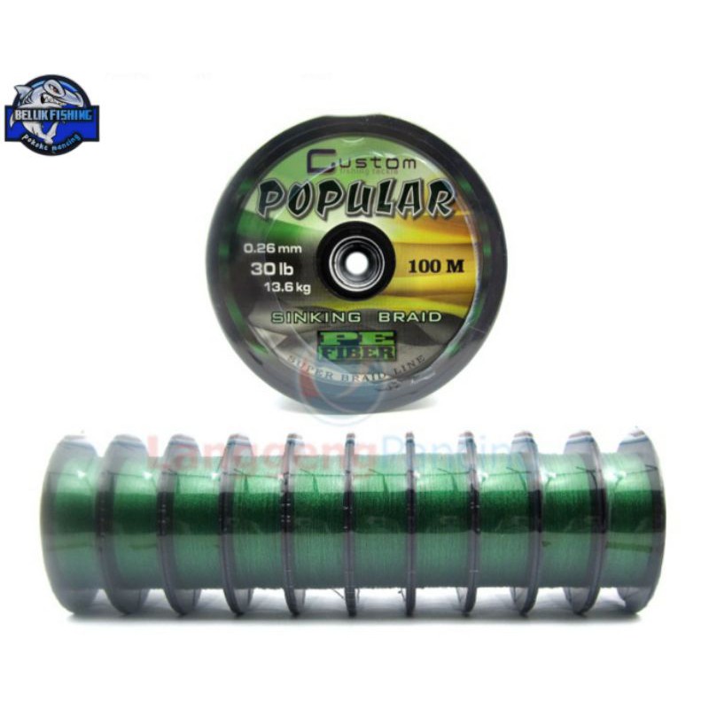 เอสติ้ง PE 100M*****