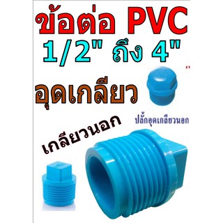 ปลั๊กอุดเกลียวนอก PVC สีฟ้า หนา