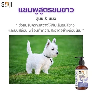 ใหม่‼️⭐️ขนขาว⭐️ SOJI แชมพูสูตรขนขาว เป็นพิเศษ สุนัข และแมว White hair shampoo ขจัดคราบเหลือง/คราบหมอง ไม่ใช้สารฟอกขาว