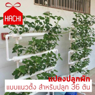 Hachi แปลง ปลูกผักออแกนิค ไฮโดรโปนิกส์ ชุดปลูกผัก ปลูกต้นไม้ ปลูกพืช ทำสวน