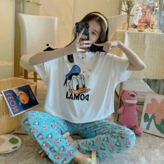 ชุดนอน ผ้านิ่มคอตตอน เเขนสั้น ขายาว ฟรีไซส์