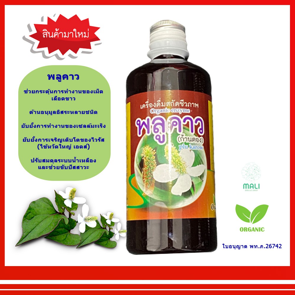 พลูคาว น้ำพลูคาว เครื่องดื่มสกัดชีวภาพ Organic enzyme plu karow น้ำสมุนไพร ก้านตอง คาวตอง ปริมาตรสุทธิ 480 มล.