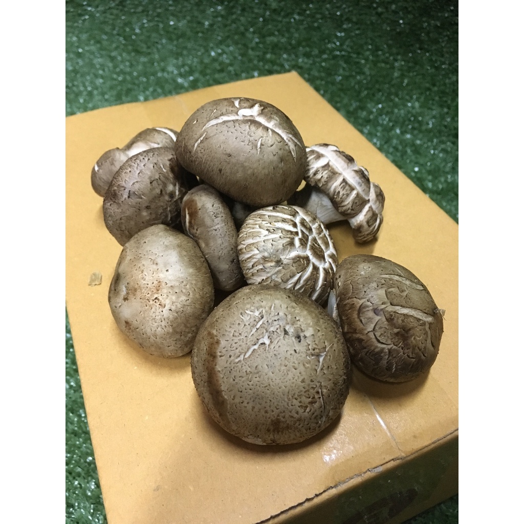 เห็ดหอมสด - เห็ดหอมอร่อย ผักผลไม้