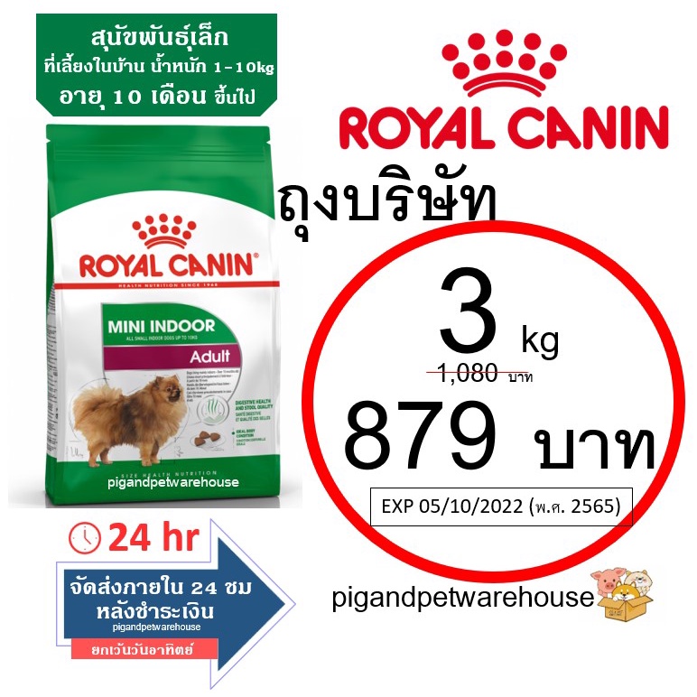 Mini Indoor Adult 3kg Royalcanin อาหารสุนัขพันธุ์เล็กที่เลี้ยงในบ้าน 3กิโลกรัม