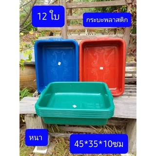 12ใบ ขนาดในรูปครับ กระบะพลาสติก ตะกร้าพลาสติก ตะแกรง ถาดปลูกผัก ตะกร้าใส่ของ ถาดเพาะถั่วงอก ตะแกรงใหญ่