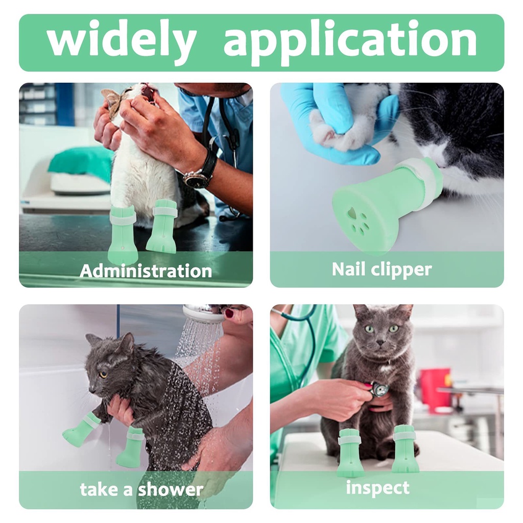 รูปภาพ 5