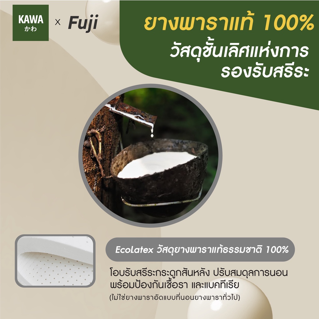 KAWA ที่นอนยางพาราแท้ 100% รุ่น Fuji บอกลาอาการปวดหลัง น้ำหนักเบา ยกคนเดียวได้ ขนย้ายง่าย ที่นอนยางพารา ที่นอนนุ่มสบาย - รูปที่ 5
