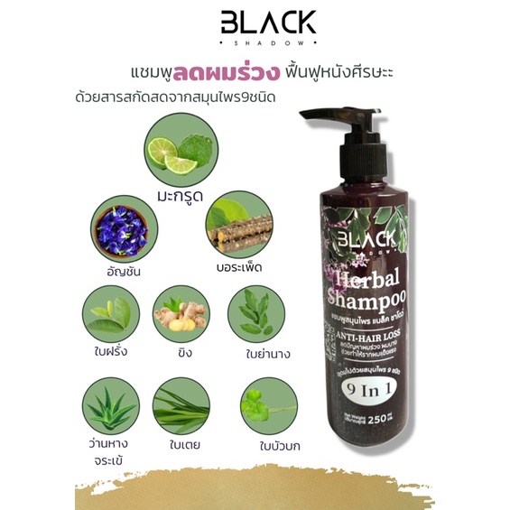 Black shadow herbal shampoo แชมพูลดผมร่วงผมบางหนังศีรษะล้านลดผมมันขจัด ...