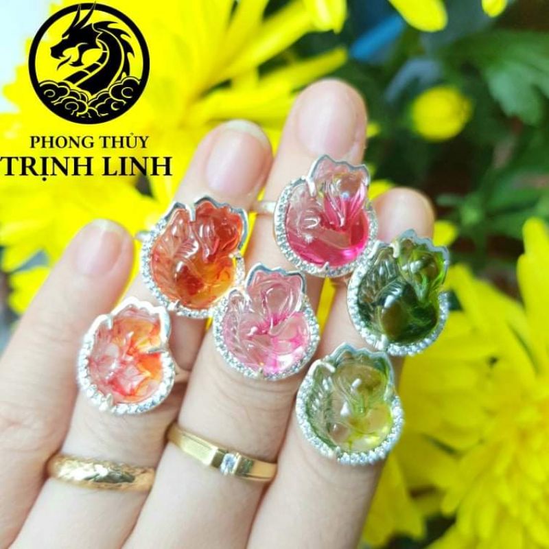 SILVER RING OF THE NINE WESTERS THE DRAGONS BLOOD