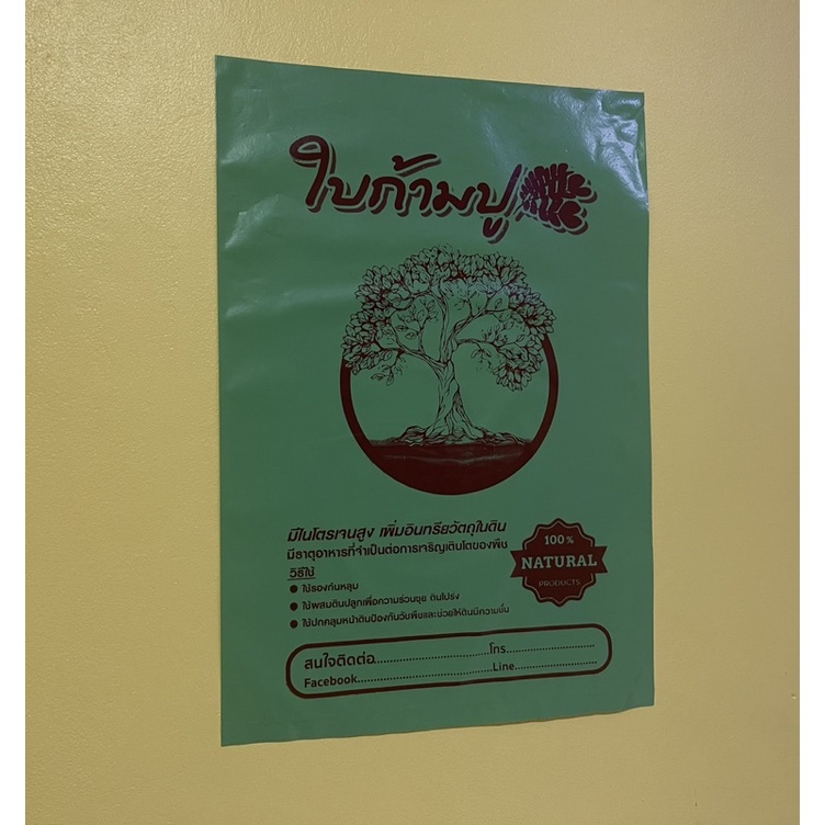 ถุงใส่ใบหรือดินใบก้ามปู 12x18 นิ้ว (59-64 ใบ/กก.)