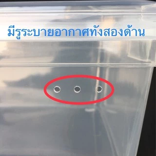 กล่องใส่รองเท้า (ช/ญ) กล่องใส่ของ ใบใหญ่ พลาสติกฝาแข็ง แพ็ค 6 ชิ้น Uniware