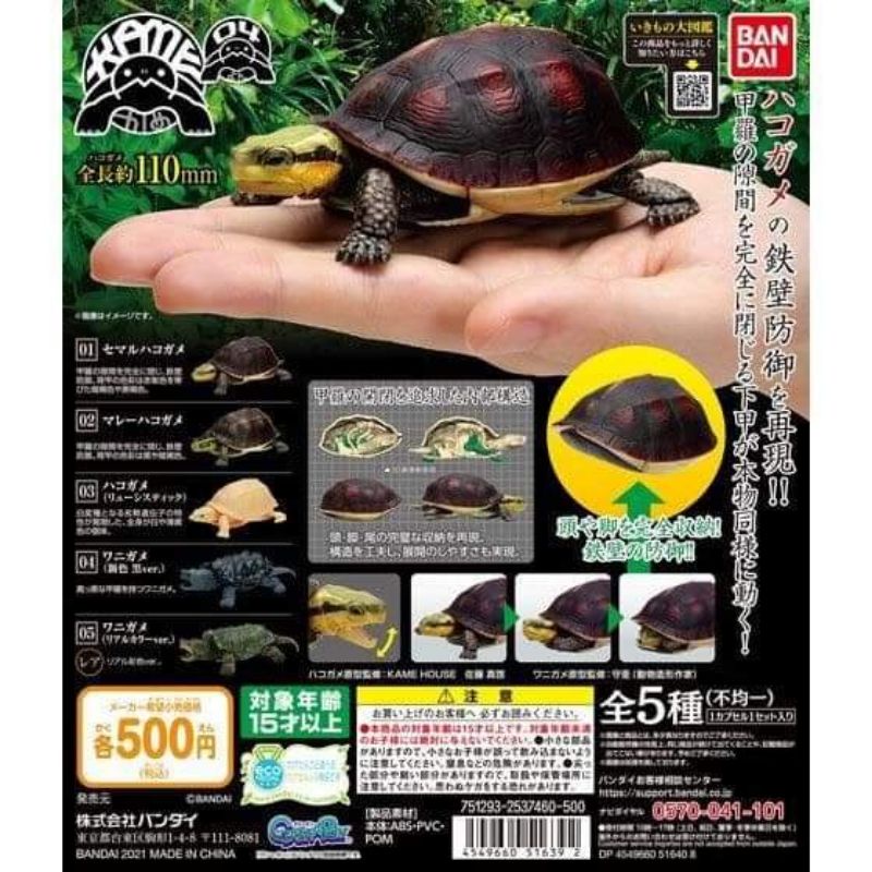 พร้อมส่ง ของแท้ 🇯🇵 กาชาปองเต่า vol#4 bandai