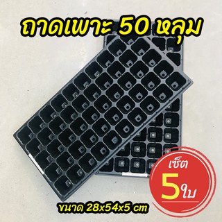 ถาดเพาะ 50 หลุม ถาดเพาะชำ ถาดเพาะกล้า ถาดเพาะเมล็ด เซ็ต 5 ใบ (Seed Tray)