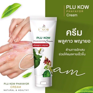 ครีมพลูคาว พญายอ สมุนไพรPla kow  40 ml (1 หลอด)โรคผิวหนัง ส่งด่วนส่งไว 🚚🚛