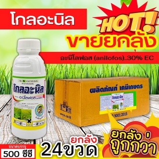 🌾 💥💥 สินค้ายกลัง 💥💥 โกลอะนิล (อะนิโลฟอส) ขนาด 500ซีซีx24ขวด ใช้ได้ทั้งก่อนและหลังวัชพืชงอกคุมวัชพืชในนาหว่านน้ำตม