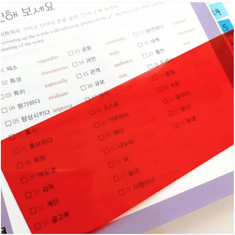 [พร้อมส่ง] แผ่นปิดคำศัพท์ แผ่นแดง แผ่นแดงปิดศัพท์ ขนาดใหญ่ (A4)