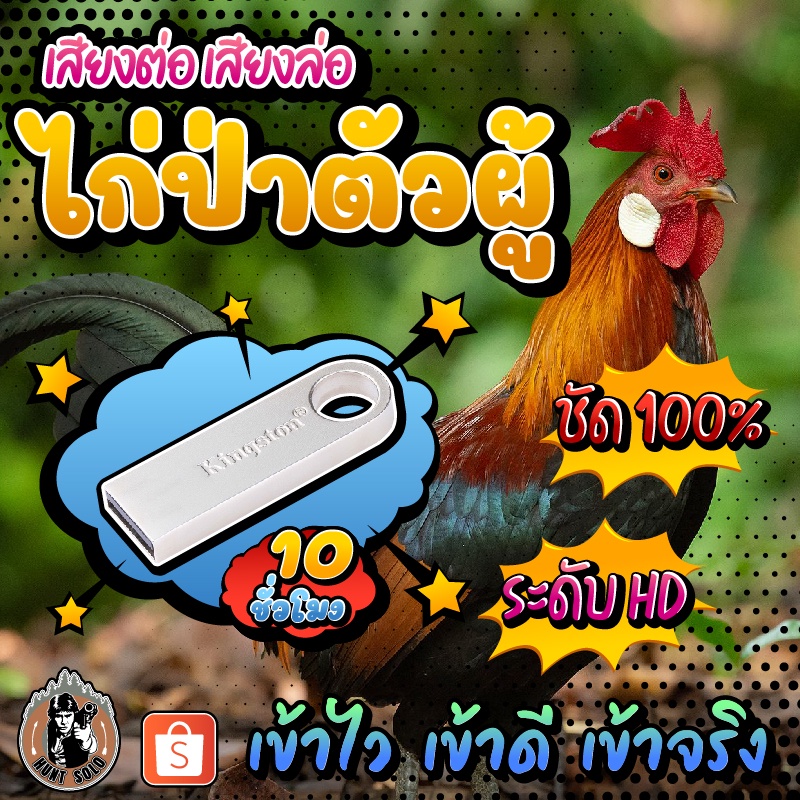 {{ยาว10ชั่วโมง}} เสียงไก่ป่าตัวผู้​ ใส่แฟลชไดร์ฟ ชัด ใส ไม่มีโฆษณา พร้อมส่ง! มีเก็บเงินปลายทาง!!!
