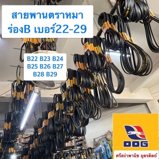 สายพานตราหมา ร่องB เบอร์22-29 / B22, B23, B24, B25, B26, B27, B28, B29