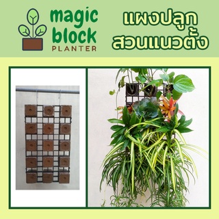 Magicblock แผงปลูกสวนแนวตั้ง ขนาด 36 x 62 ซม (ปลูกต้นไม้แนวตั้ง/สวนแขวนผนัง/ชุดสวดแนวตั้ง/ตะแกรงพร้อมปลูกสวนแนวตั้ง)