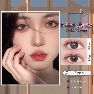 Mini jelly brown คอนแทคเลนส์