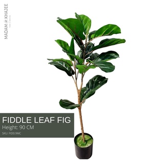 Fiddle leaf tree ต้นไทรใบสัก 90 CM ต้นไม้ปลอมเกรดพรีเมี่ยม มาดามขจี ตกแต่งบ้าน  Premium Artificial Plant