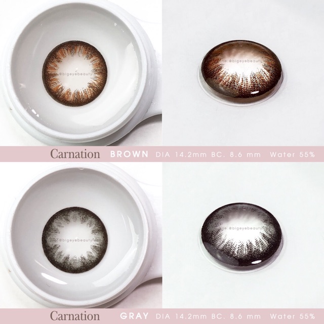 Carnation brown [ค่าสายตา -0.00 - 7.00 ] คอนแทคเลนส์ [ รายเดือน ] ยี่ห้อ beautylens ( ขนาดตาโต ) - รูปที่ 4