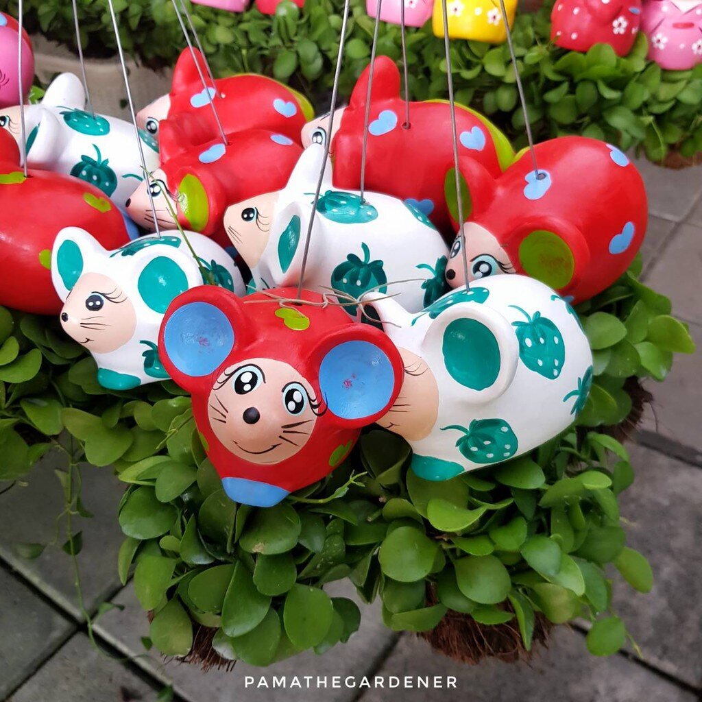 ต้นเดป ใส่ ตุ๊กตาตัวใหญ่ (5 ชุด 225)