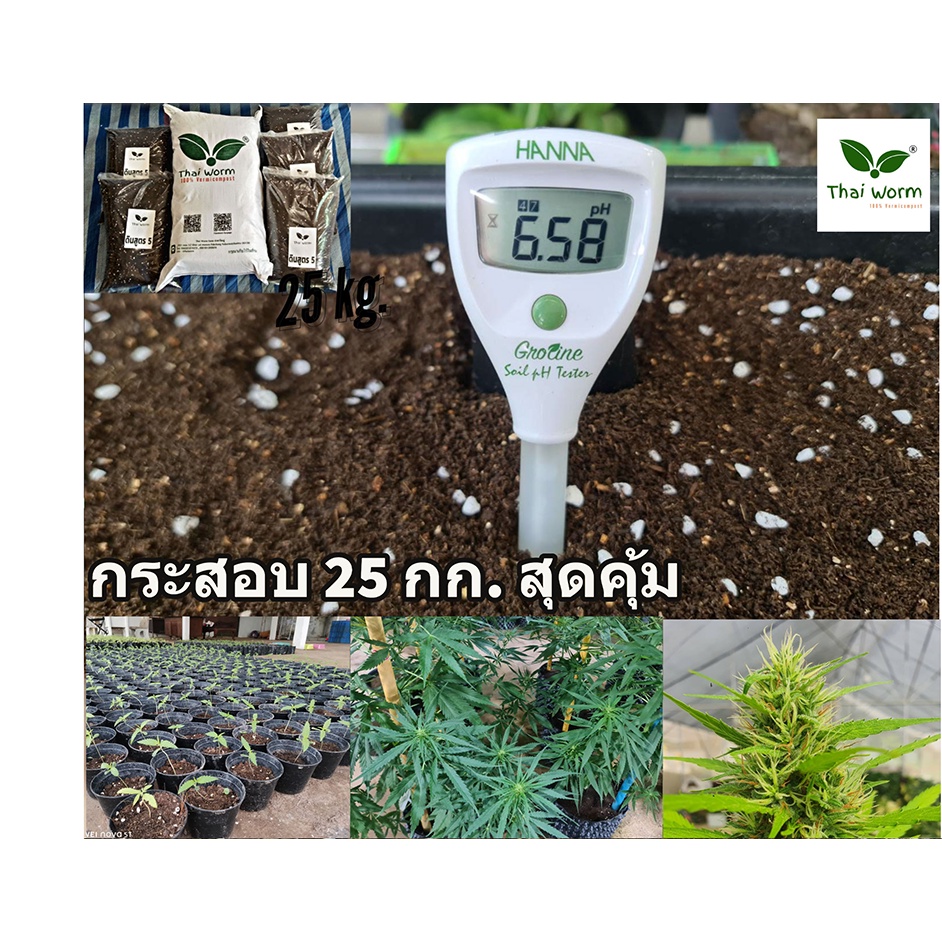 ดินสูตร5   (ดินปลูกสมุนไพร)