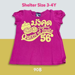 เสื้อยืดสีบานเย็น Shelter size 3-4y