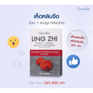 ส่งฟรี เห็ดหลินจือสกัด กิฟฟารีน ชนิดแคปซูล สมุนไพรเห็ดหลินจือแดง LING ZHI MUSHROOM GIFFARINE