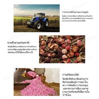 (สินค้าคุณภาพ🔥)น้ำมันหอมระเหย 100 มล กลิ่นธรรมชาติ น้ำยาหอมระเหย บริสุทธิ์ 100% สสารสกัดจากธรรมชาติ กลิ่นหอมแรงขึ้น 24%