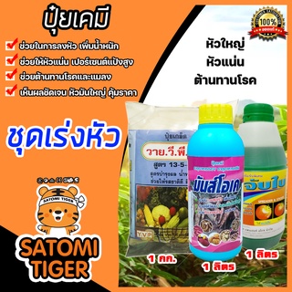 ชุดเร่งหัว ในชุดประกอบด้วย ปุ๋ยเร่งหัว มันส์โอเค 1ลิตร ปุ๋ยเล็ดวาย.วี.พี 13-5-42 1กก. และสารจับใบ แพนเธอร์ 1ลิตร